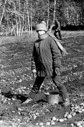 
   Челябинская обл. Село Миасское. Сентябрь 1986г.
